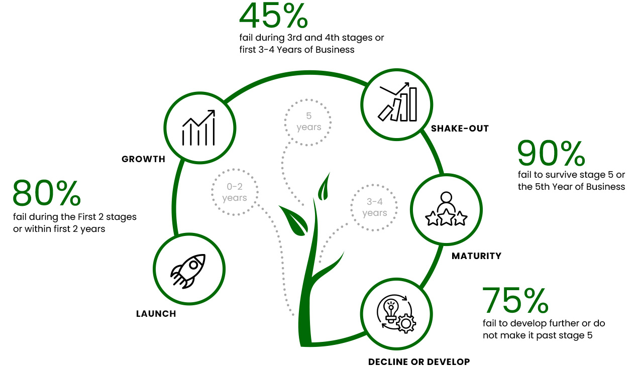 lifecycle-business.jpg